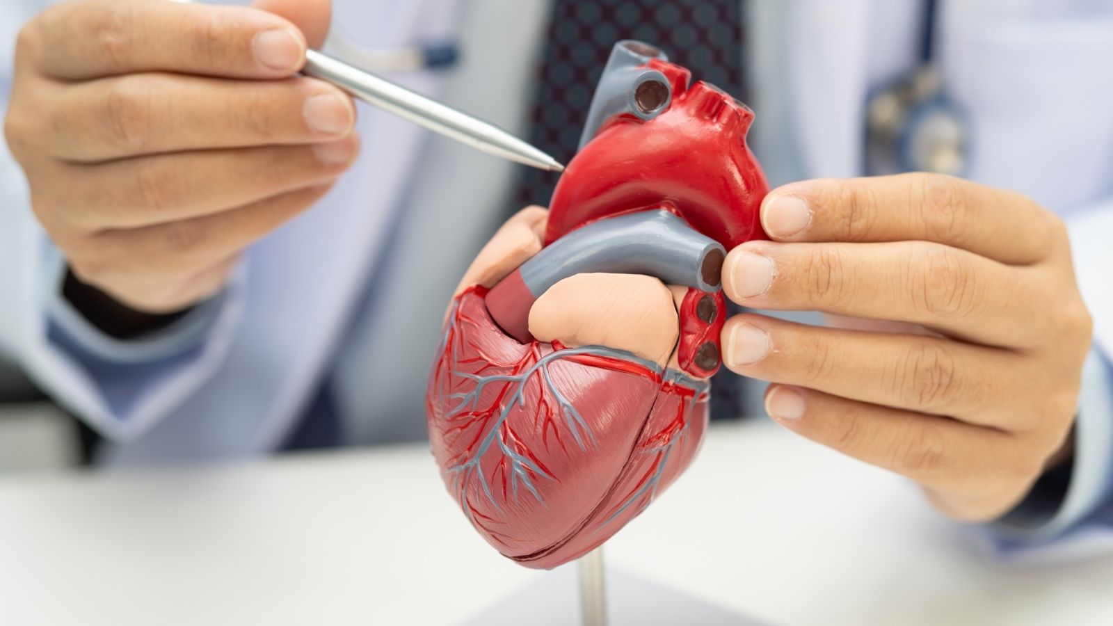 Kardiyoloji ve Kalp Damar Cerrahisi Arasindaki Fark Nedir
