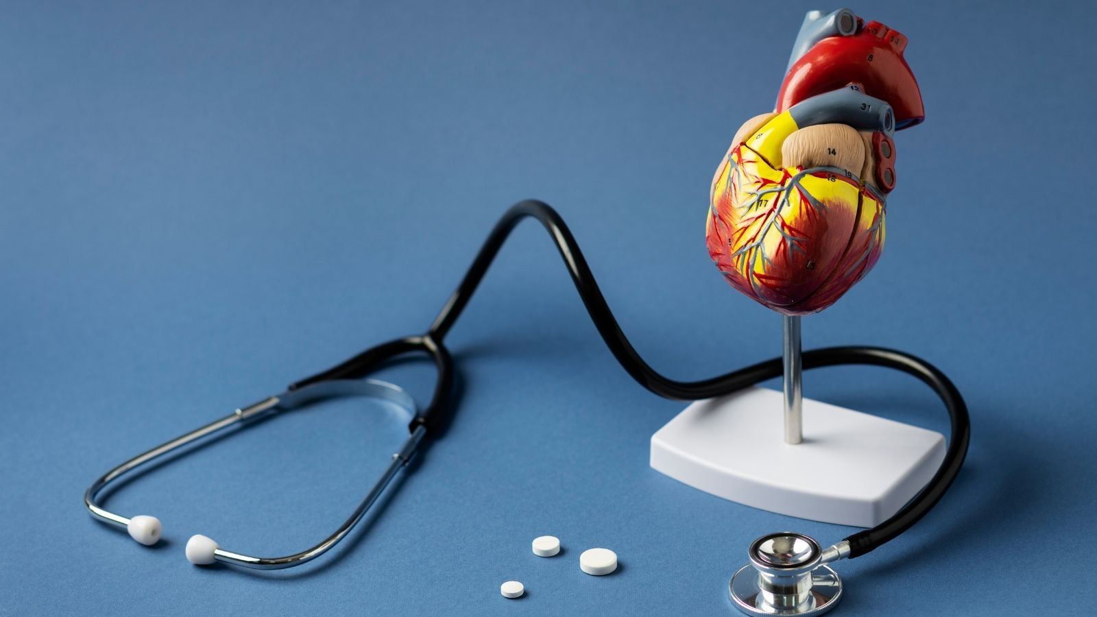 Kalp Hastaliklari Nelerdir Kalp Hastaliklari Belirtileri