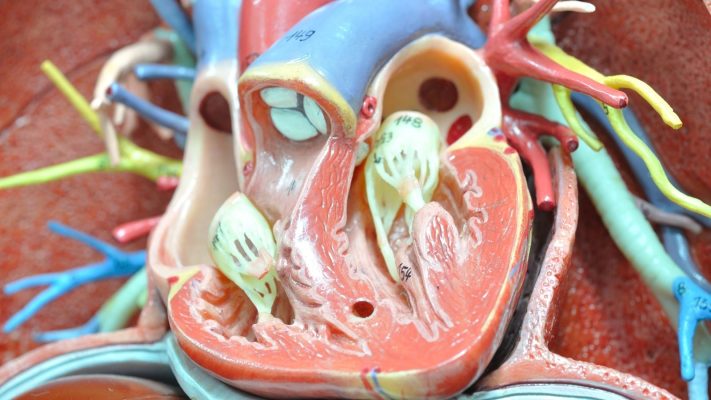 Aort Kapak Kacagi Nedir Belirtileri ve Tedavisi