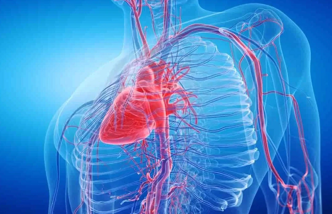 Kronik Total Okluzyon CTO