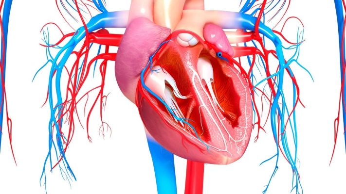 LAA Kapatma Nedir Sol Atriyal Appendiks Kapatma Islemi