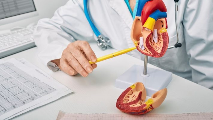 Mitral Kapak Kalinlasmasi Nedir Tehlikeli midir